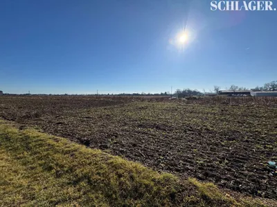 Immobilie kaufen in Leibnitz – 5 000 m²