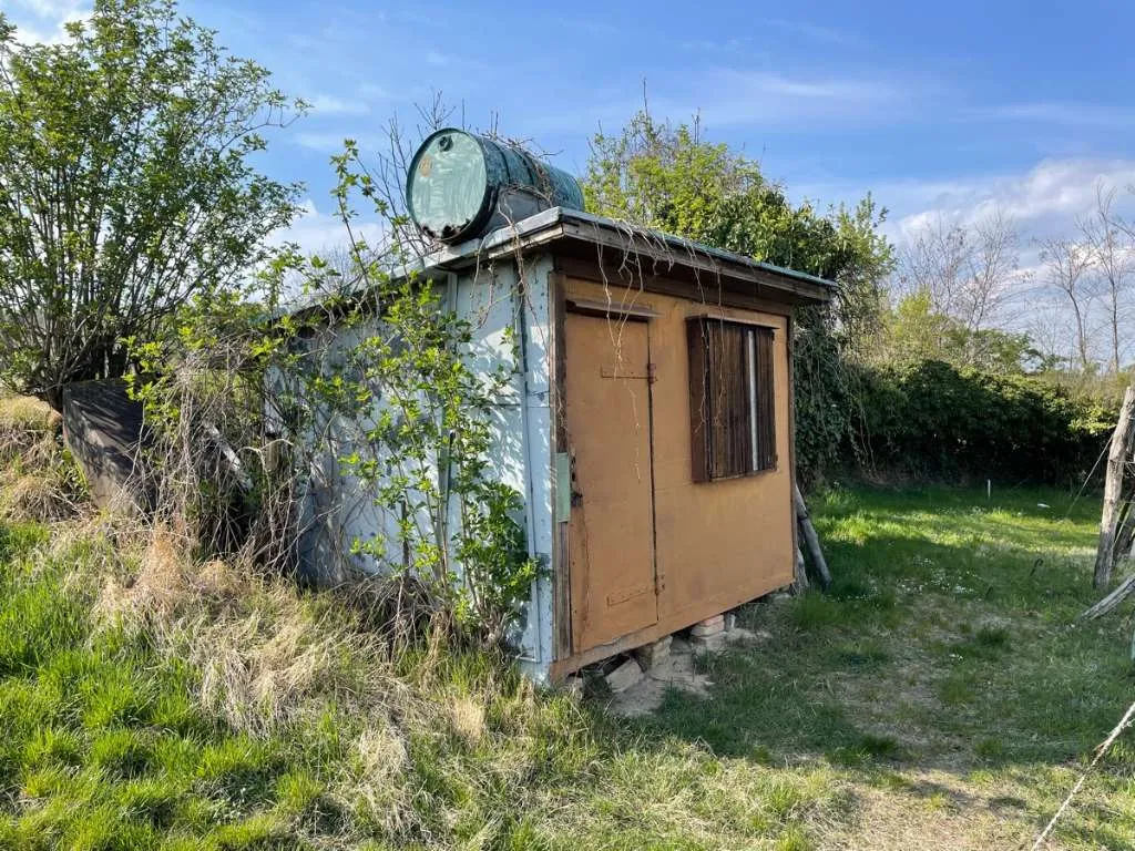 Weingarten mit Gartenhütte zu vermieten - Visning 3