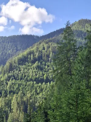 Immobilie kaufen in Bruck-Mürzzuschlag – 326 760 m²