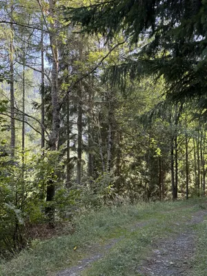 Immobilie kaufen in Bruck-Mürzzuschlag – 326 760 m² – Bild 9 von 12