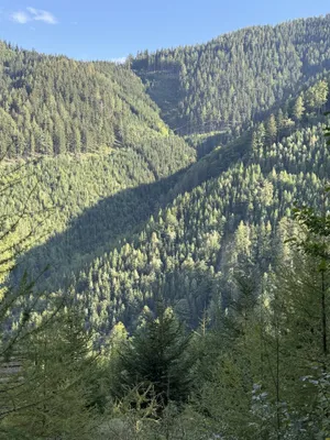 Immobilie kaufen in Bruck-Mürzzuschlag – 326 760 m² – Bild 2 von 12