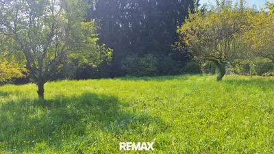 Grundstück kaufen in Leibnitz – 1 560 m², € 169.000 – Bild 6 von 7