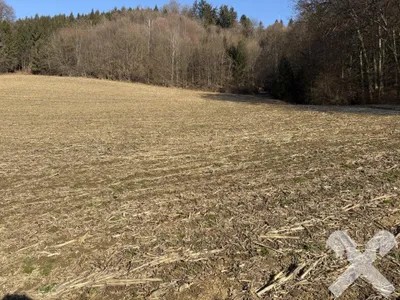 Grundstück kaufen in Südoststeiermark – 16 466 m², € 290.000 – Bild 3 von 4
