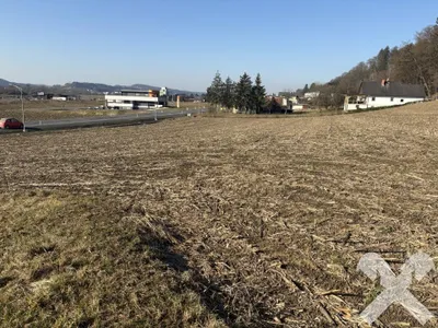 Grundstück kaufen in Südoststeiermark – 16 466 m², € 290.000 – Bild 4 von 4