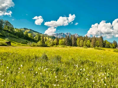 5-Zimmer-Haus kaufen in Kitzbühel – 374 m², € 5.490.000 – Bild 5 von 5