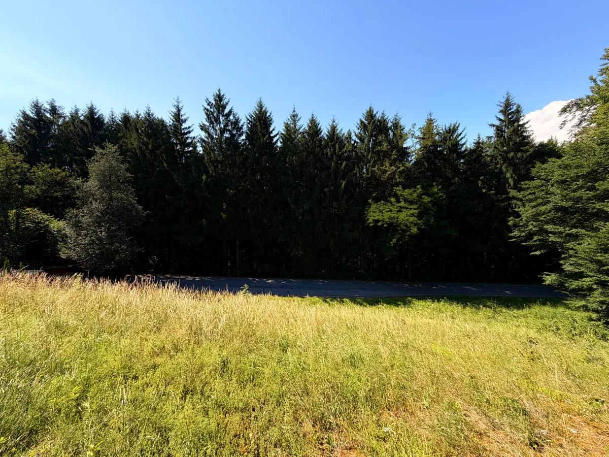Bauland bei Burg Clam (Baumgartenberg) - ganz ohne Bauzwang - Widok 2