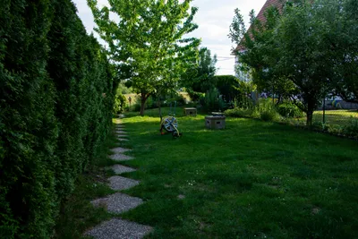 3-Zimmer-Haus mieten in Wien – 55 m², € 1.500 – Bild 10 von 13