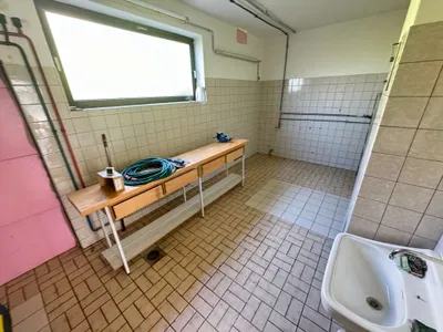 Gewerbeimmobilie mieten in Hartberg-Fürstenfeld – 300 m² – Bild 3 von 12