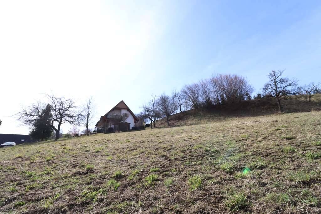 Weitblick nahe Maria Lankowitz - Ansicht 3