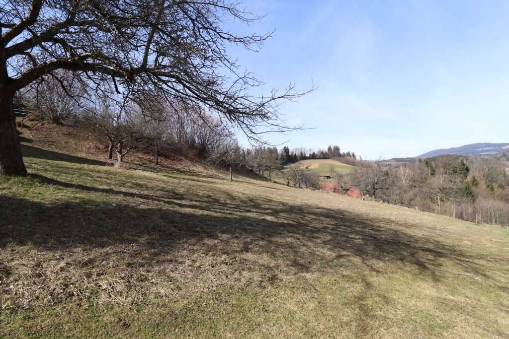 Weitblick nahe Maria Lankowitz - Ansicht 2