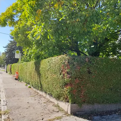 Immobilie mieten in Linz – 14 m², € 150 – Bild 4 von 5