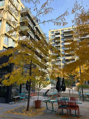 2-Zimmer-Wohnung mieten in Wien – 41 m², € 975 – Bild 4 von 25