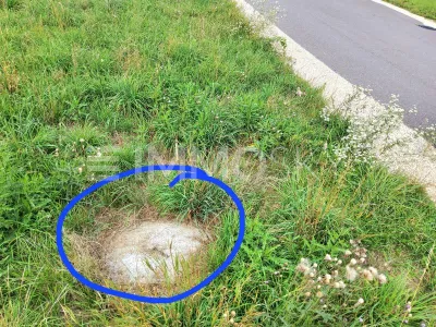 Grundstück kaufen in Linz Land – 536 m², € 225.000 – Bild 3 von 5