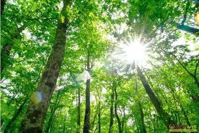 Gewerbeimmobilie kaufen in Linz – € 200.000 – Bild 3 von 6