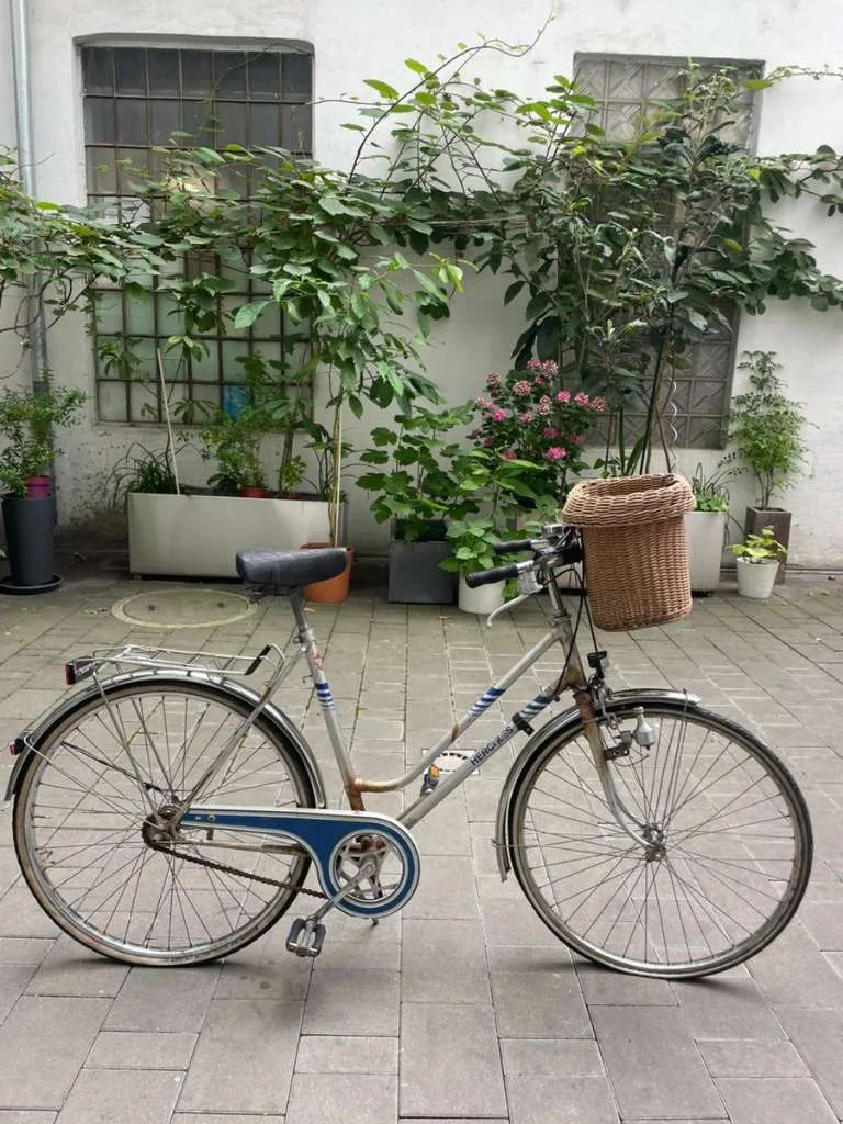 e fahrrad batterien Bike Akkus 48V 100Ah, Elektrofahrrad Batterie 48V 100Ah mit Ladegerät eingebauter BMS 48V 100Ah Fahrrad-Batterien für 250W 350W 500W 750W 1000W (A Grade-Zelle) 48V 100Ah,XT60 Sport & Freizeit Servierwagen:Für Raskog vor 2025 (Innenmaß 40.5) Damen E Bike Winora multipack