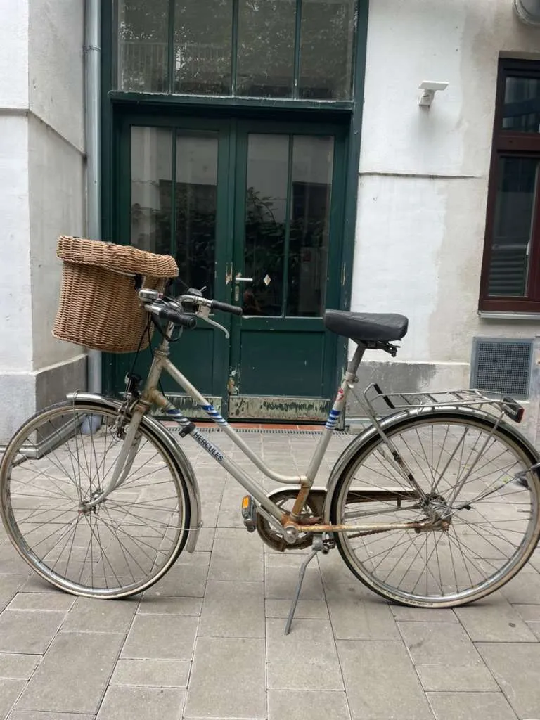hollandrad 26 zoll mädchen MILORD. Komfort Fahrrad mit Rückenträger, Hollandrad, Damenfahrrad, 1-Gang, Rosa, Sport & Freizeit 100 No-Equipment Workouts Vol. Rotary Motion Size:DC 12V 160rpm