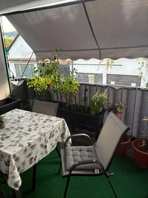 3-Zimmer-Wohnung mieten in Sankt Pölten Land – 62 m², € 740 – Bild 6 von 7