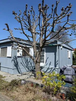 3-Zimmer-Wohnung kaufen in Neusiedl am See – 45 m², € 89.900 – Bild 3 von 28