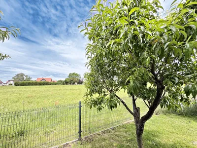 6-Zimmer-Haus kaufen in Leibnitz – 160 m², € 549.000 – Bild 7 von 11