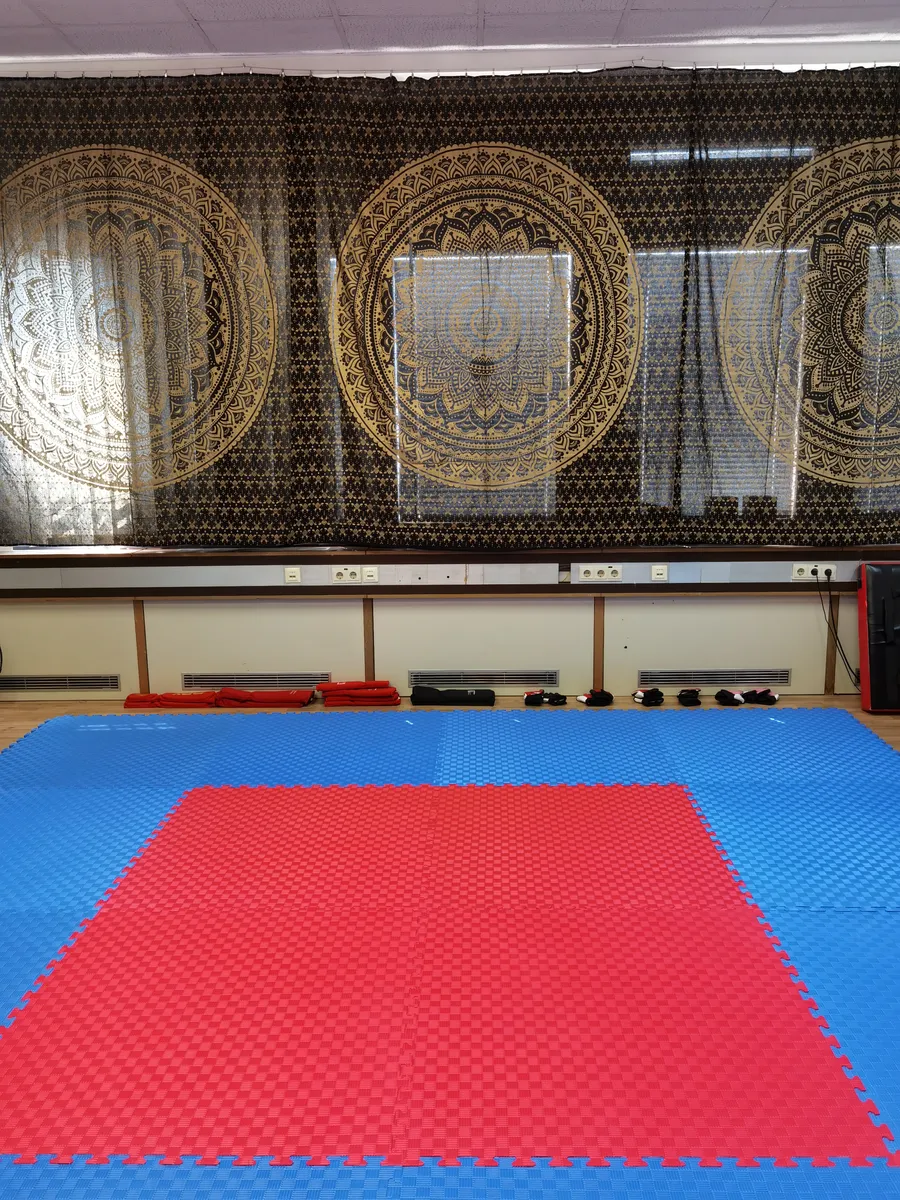 Raum für Yoga / Kampfsport / Qi Gong zu vermieten - Ansicht 2