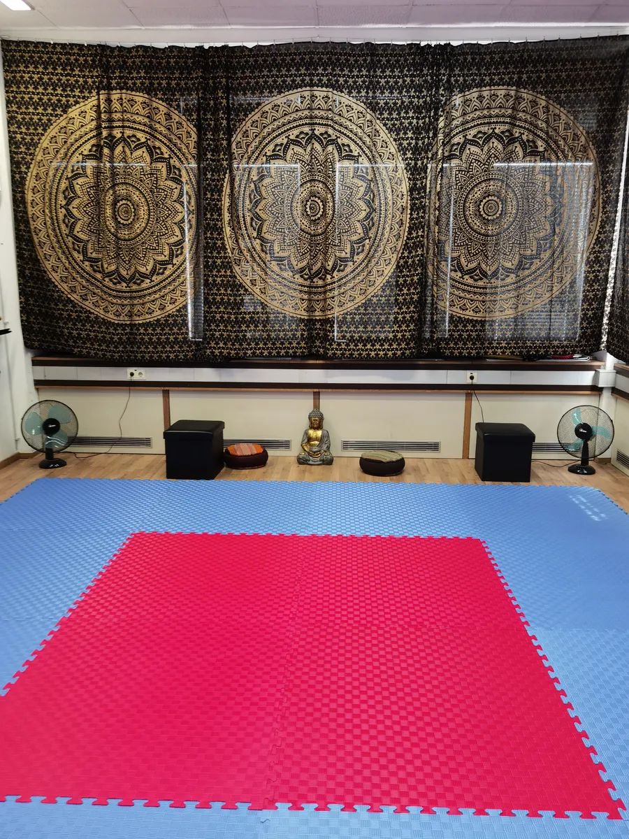 Raum für Yoga / Kampfsport / Qi Gong zu vermieten - Ansicht 3