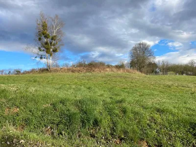 Grundstück kaufen in Güssing – 13 907 m², € 98.000 – Bild 5 von 12