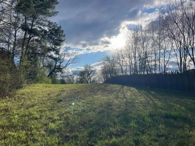 Grundstück kaufen in Güssing – 13 907 m², € 98.000 – Bild 9 von 12