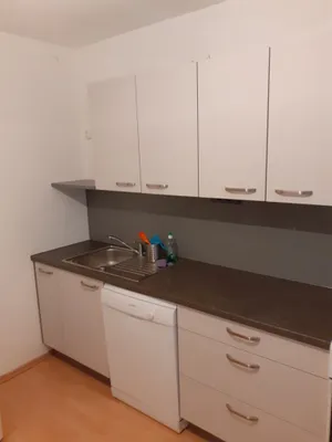 Sehr schöne 2-Zimmer Wohnung mit Wohnküche (zentral begehbar) – Bild 2