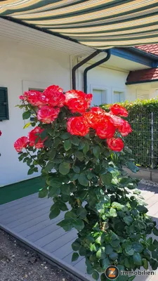 8-Zimmer-Haus kaufen in Mattersburg – 260 m², € 699.000 – Bild 38 von 41
