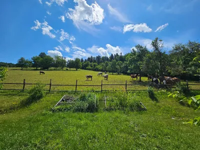 Haus zur Miete in 3053 Sankt Pölten Land