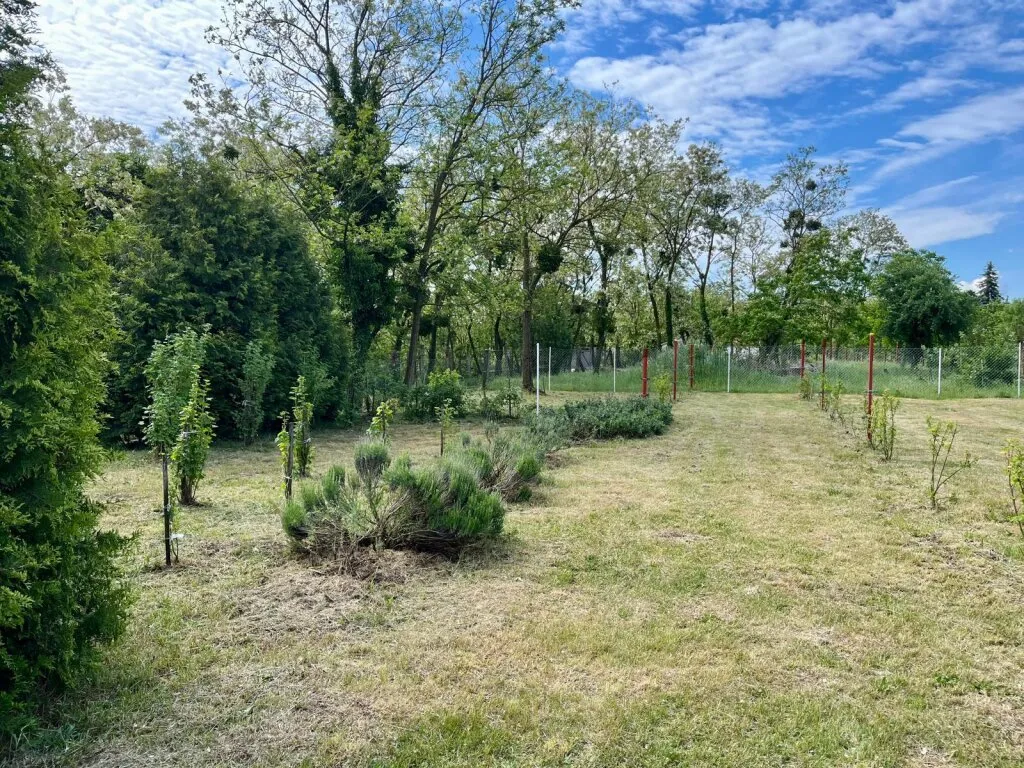 Leistbares Gartengrundstück mit Hauptwohnsitzberechtigung nur 20min von der österreichischen Grenze! - Ansicht 3
