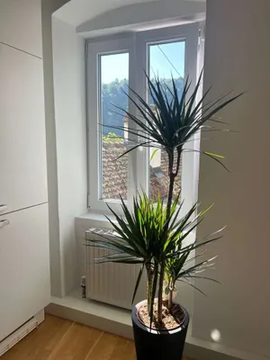 2-Zimmer-Wohnung mieten in Linz – 41 m², € 1.400 – Bild 22 von 38