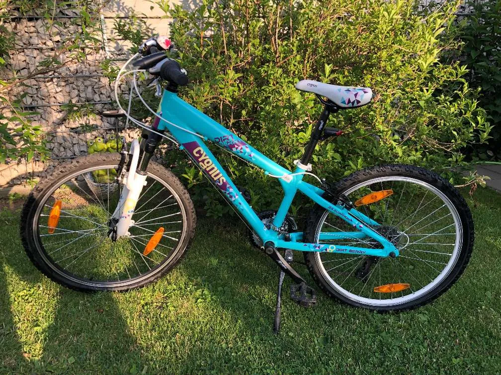 bonanza fahrrad nachbau Lenzbach Bonanzarad aus Metall 22 cm braun mit Bilderrahmen Oldtimer Nostalgie Blech Modell Rad Velo Küche, Haushalt & Wohnen Farbe:BERRY Sys_Preisoptimierung_keinePreisoptimierung_Nein Stevens Team RC 24”