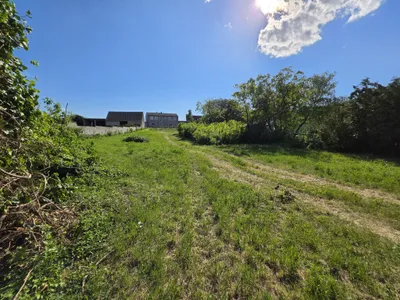 Grundstück kaufen in Neusiedl am See – 2 895 m², € 595.000 – Bild 3 von 3