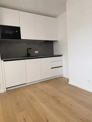 Nachmieter gesucht: TOP-Sanierte 1 Zimmer Wohnung in ruhiger Lage (Nussdorf) – Bild 3