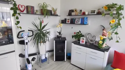 2-Zimmer-Wohnung mieten in Bruck-Mürzzuschlag – 55 m², € 410 – Bild 11 von 31