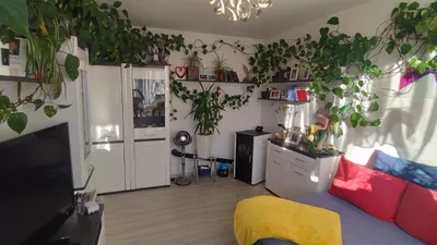 2-Zimmer-Wohnung mieten in Bruck-Mürzzuschlag – 55 m², € 410 – Bild 28 von 31