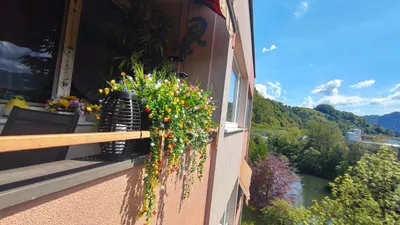 2-Zimmer-Wohnung mieten in Bruck-Mürzzuschlag – 55 m², € 410 – Bild 22 von 31