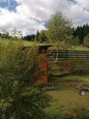 Immobilie mieten in Voitsberg – 18 m² – Bild 4 von 40
