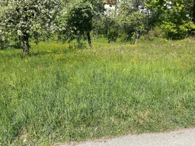 Grundstück kaufen in Urfahr-Umgebung – 992 m², € 379.000 – Bild 4 von 11