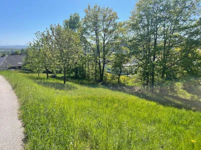 Grundstück kaufen in Urfahr-Umgebung – 992 m², € 379.000 – Bild 2 von 11
