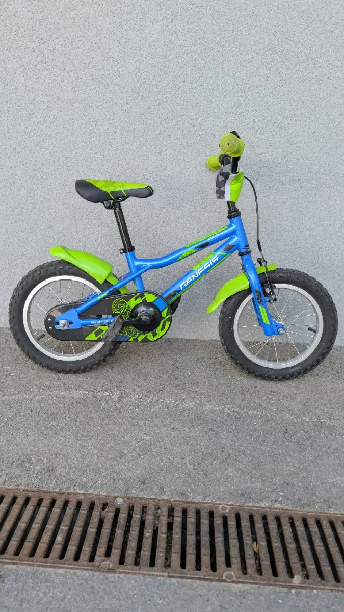hövding rennrad 4 Size:42 2/3 Japan Exclusive Dope Pedalers getting to
