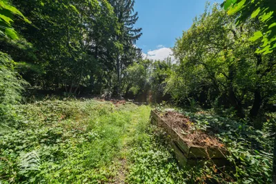 10-Zimmer-Immobilie kaufen in Mödling – 304,85 m², € 2.980.000 – Bild 10 von 70