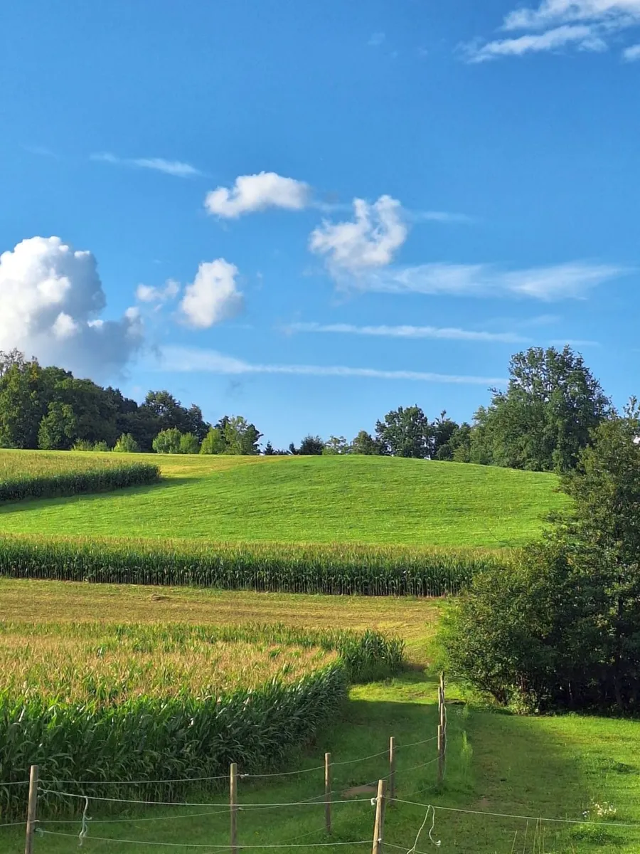 Sonniges Baugrundstück in Ortsrandlage! - Ansicht 2