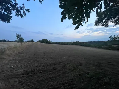 Immobilie kaufen in Mistelbach – 11 886 m² – Bild 11 von 16