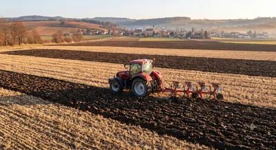 Immobilie kaufen in Mistelbach – 11 886 m² – Bild 7 von 16