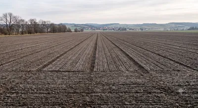 Immobilie kaufen in Mistelbach – 11 886 m² – Bild 5 von 16