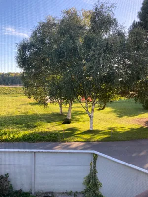 2-Zimmer-Wohnung mieten in Perg – 44 m², € 594 – Bild 3 von 16
