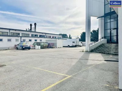 Immobilie mieten in Wien – 3 608 m² – Bild 3 von 8