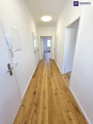 2-Zimmer-Wohnung kaufen in Wien – 51,34 m², € 275.000 – Bild 4 von 19